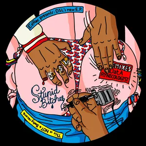 Pochette de Stupid Bitches de DSL