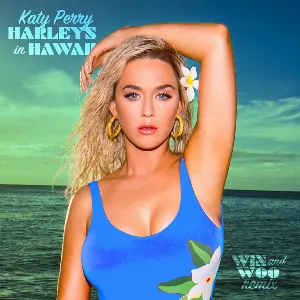 Pochette Harleys in Hawaii (Win and Woo remix)
