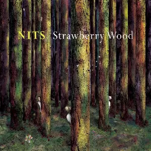 Pochette Strawberry Wood