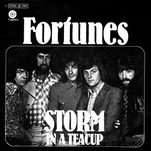 Pochette de Storm in a Teacup de The Fortunes