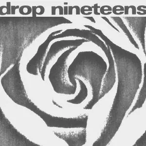 Pochette de Shannon Waves de Drop Nineteens