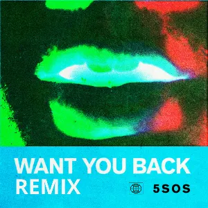 Pochette Want You Back (Tritonal remix)