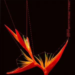 Pochette de Sokoot de Tonhalle-Orchester Zürich