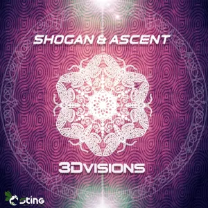 Pochette de 3D Visions de Shogan