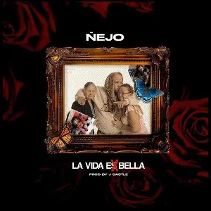 Pochette de La vida es bella de Ñejo