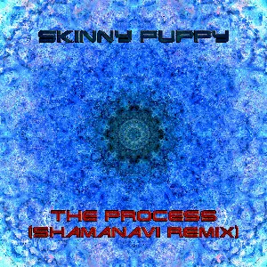 Pochette The Process (Shamanavi Remix)