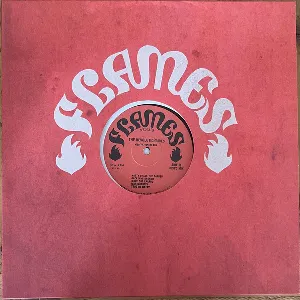 Pochette de Meditation in Dub de The Revolutionaries