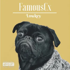 Pochette de Lowkey de FamousCx
