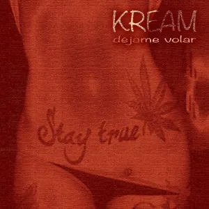 Pochette de Dejame Volar de KREAM