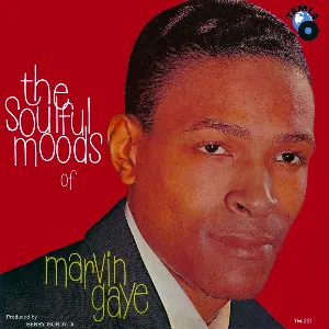 Pochette The Soulful Moods of Marvin Gaye