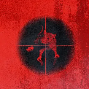 Pochette de Killing the Rats de Kodak Black