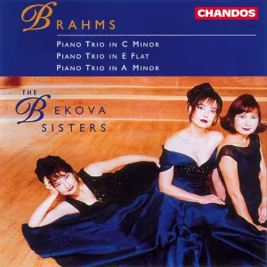 Pochette de Piano Trio in C minor / Piano Trio in E flat / Piano Trio in A minor de The Bekova Sisters - Johannes Brahms