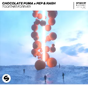 Pochette de Together Forever de Chocolate Puma