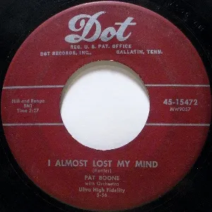 Pochette I Almost Lost My Mind / I’m in Love With You