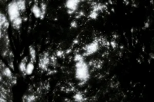 Pochette de The Origin of Negation de Scott Lawlor
