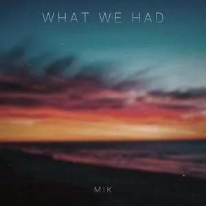 Pochette de What We Had de Mik
