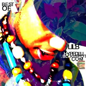 Pochette de Best of Lil B de Lil B
