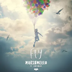 Pochette de Fly de Marshmello
