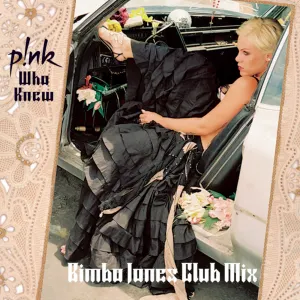 Pochette de Who Knew (Bimbo Jones club mix) de P!nk