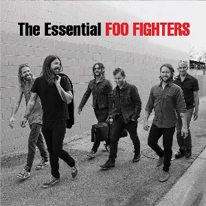 Pochette The Essential Foo Fighters