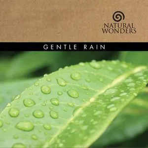 Pochette Gentle Rain