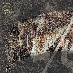Pochette de Balayer de 13 Block