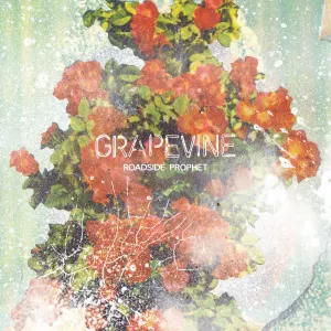 Pochette de ROADSIDE PROPHET de GRAPEVINE