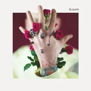 Pochette de bloom de mgk