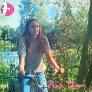 Pochette de Flash Thèmes de Alan Feanch