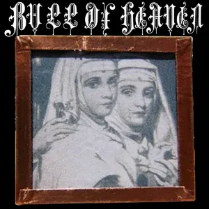 Pochette de 142: Qualia and the Dynamic Core de Bull of Heaven