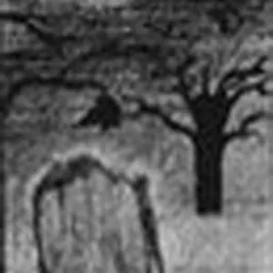 Pochette de My Tomb - Promo I de Sale Freux