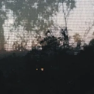 Pochette de HX.8.8 de Knxwledge