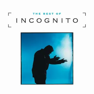 Pochette The Best of Incognito