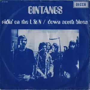 Pochette de Ridin' on the L & N / Down South Blues de Bintangs