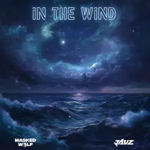 Pochette de In The Wind de Jauz