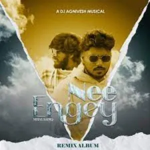 Pochette de Nee Engey (Derby Tomhills Remix) de Derby Tomhills