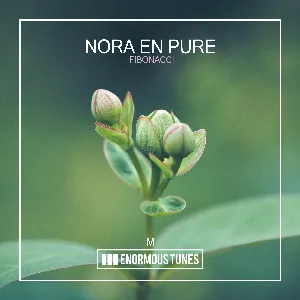 Pochette de Fibonacci de Nora en Pure