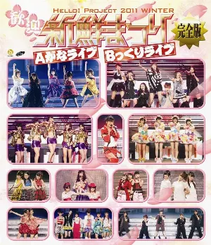 Pochette de HELLO! PROJECT 2011 WINTER 歓迎新鮮まつり 完全版 de Hello! Project