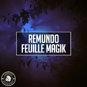 Pochette de Feuille Magik de Remundo