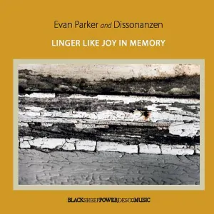 Pochette de Linger Like Joy in Memory de Evan Parker