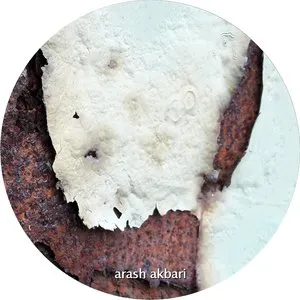 Pochette de Perpetual de Arash Akbari