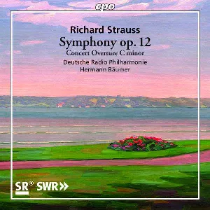 Pochette Symphony Op. 12 / Concert Overture C Minor
