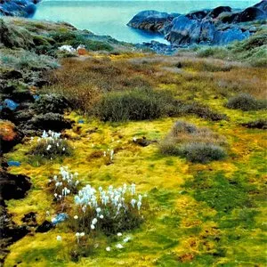 Pochette de Houston Tuesday de Jandek