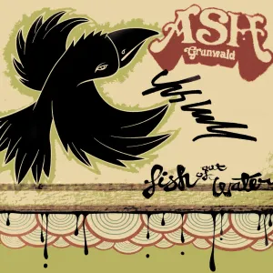 Pochette de Fish Out of Water de Ash Grunwald