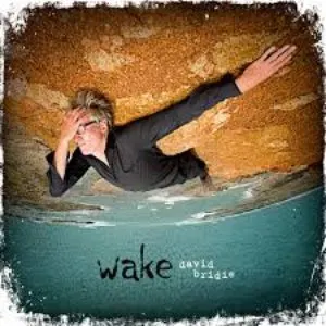 Pochette de Wake de David Bridie