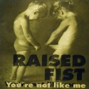 Pochette de You're Not Like Me de Raised Fist