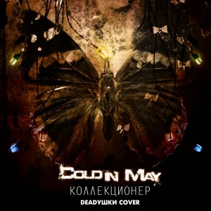 Pochette de Коллекционер de Cold in May