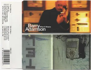 Pochette de What It Means de Barry Adamson