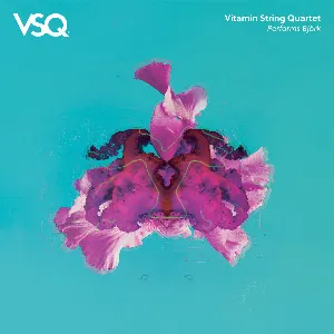 Pochette Vitamin String Quartet Performs Björk
