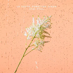 Pochette de Stay Still de Le Youth